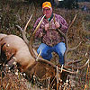 Elk Hunt