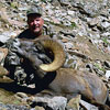 Big Horn Sheep Hunt