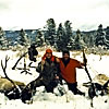 Elk in the Snow